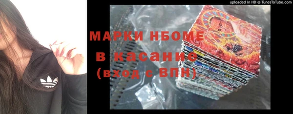 прущий лед Алзамай