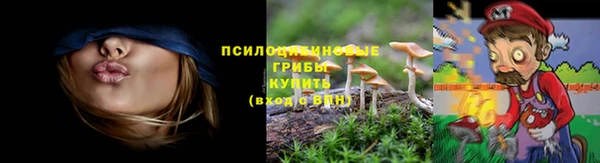 МДПВ Алексеевка