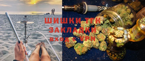 прущий лед Алзамай