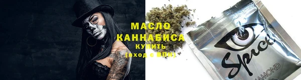прущий лед Алзамай