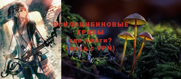 прущий лед Алзамай