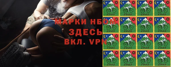 прущий лед Алзамай