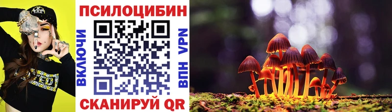 закладка  Осинники  Галлюциногенные грибы Cubensis 