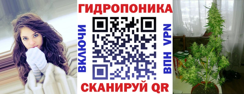 omg   Осинники  Марихуана OG Kush 